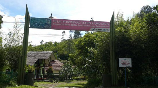 Kamojang Eagle Conservation Center
